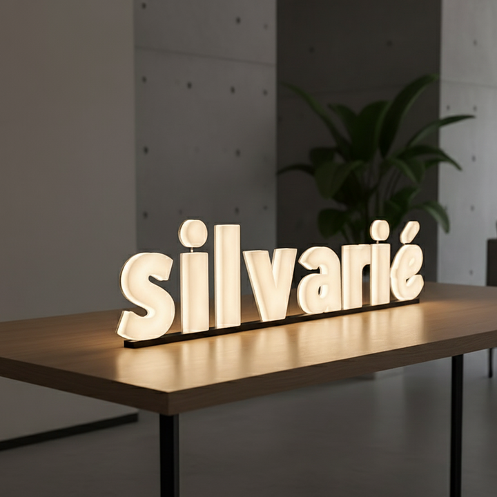 Custom Acrylic Full Lit Letter Sign, 3D LED Channel Letters for Business Storefronts